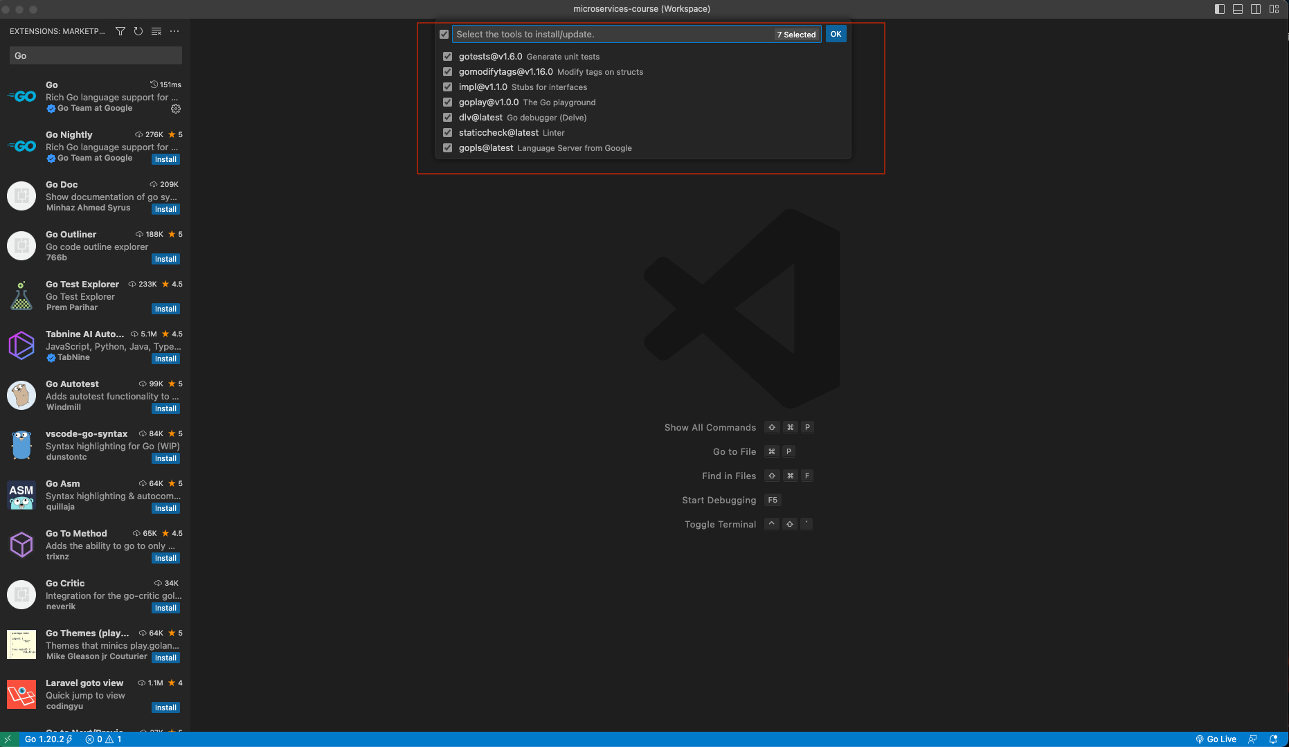 Go Tools VSCode